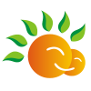 sunshine-aupair.com favicon