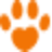 insureyourpaws.co.uk favicon