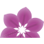 thorncroftclematis.co.uk favicon