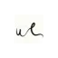wonderlust.co favicon
