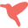 birddogs.com favicon