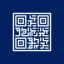 blindspotglobal.com favicon