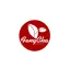 de.fengchashop.com favicon