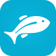 fishbox.com favicon