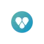 getfindster.com favicon