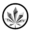 onlineweeddispensary.co favicon