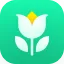 plantparentai.com favicon
