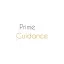primeguidance.com favicon