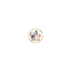 thebigplayhouse.com favicon