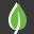 venditapianteonline.it favicon