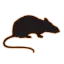 vvs-kloakservice.dk favicon