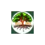eco-dev.net favicon