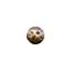graphfr.fr favicon