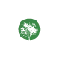 puntoverdevivai.com favicon