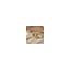 saganparis.com favicon
