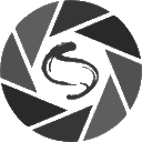 sasien.nl favicon