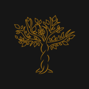 Schlesingercom favicon