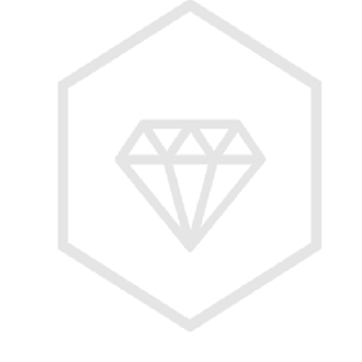 simplegrad.com favicon