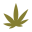thebritishcbdcompany.co.uk favicon