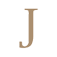 thejames.nl favicon