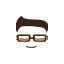 ashnayemm.wordpress.com favicon