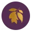 aurosochocolate.com favicon