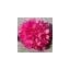 blomkrukan.com favicon