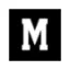 hotelmetropole.com favicon