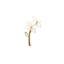 nord-begravelse.dk favicon