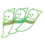 success-maternita-surrogata.it favicon