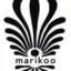 baratomarikoo.com favicon