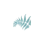 brackencourt.ie favicon