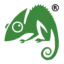 chameleonwebservices.co.uk favicon