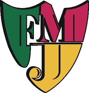 fmj.it favicon