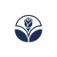 peachtreerosemarketing.com favicon