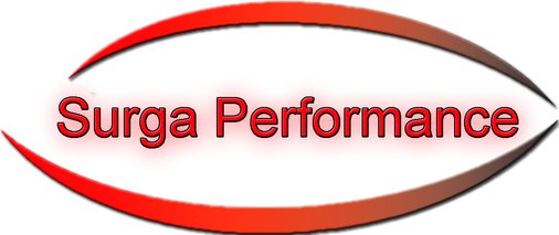 surga-performance.de favicon