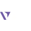 vizziongroup.com favicon