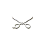 chopshopcph.dk favicon