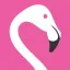 flamingotours.pl favicon