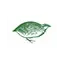 oasicooperativa.com favicon