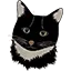 systemstailormade.com favicon