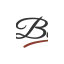 barbieriantiquariato.it favicon