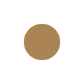 blessluxury.com favicon