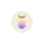 evolum.co favicon