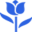 internetflorist.biz favicon
