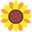 lilicloth.com favicon