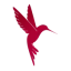 nexus-jet.com favicon