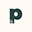 runpanthera.com favicon
