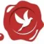tradingcardsnl.com favicon