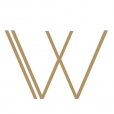 wellomed.de favicon